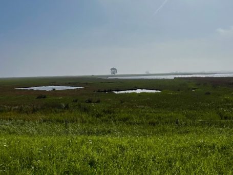 Küstenlandschaft Maasholm Grüne Küstenlandschaft mit kleinen Teichen bei Maasholm
